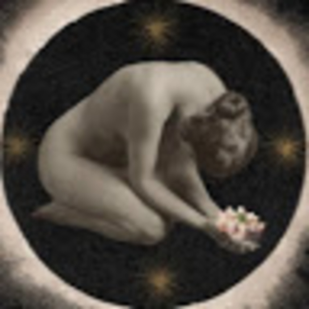 Meet your Posher, Intuitive